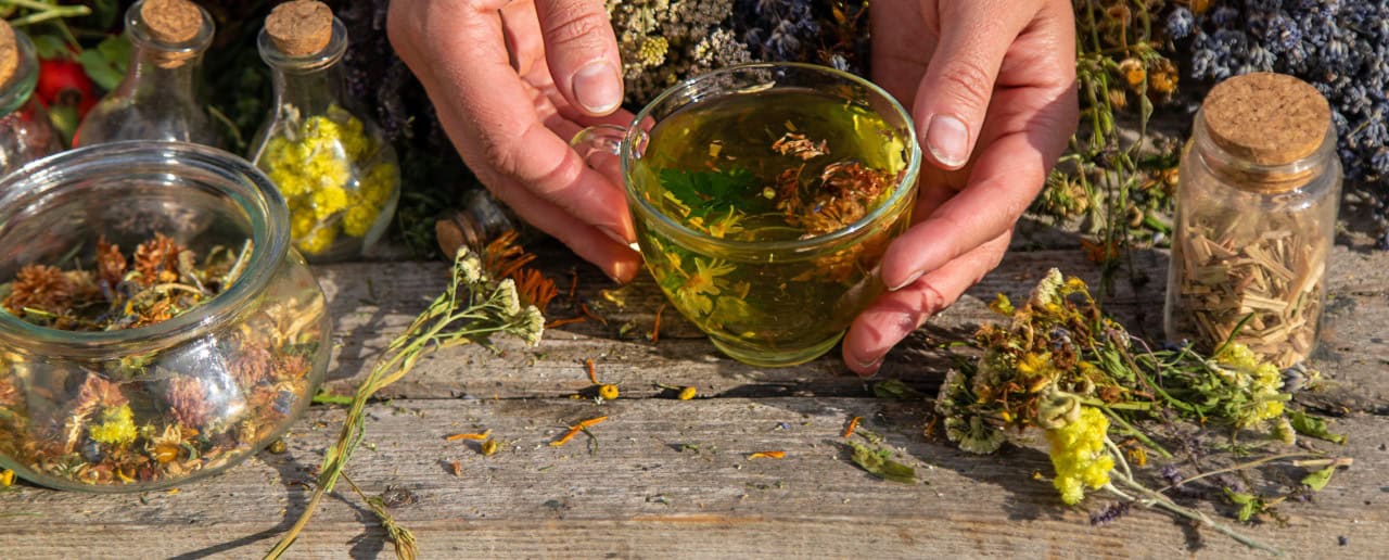 How Vertical Farming is Revolutionizing Herbal Extract Production