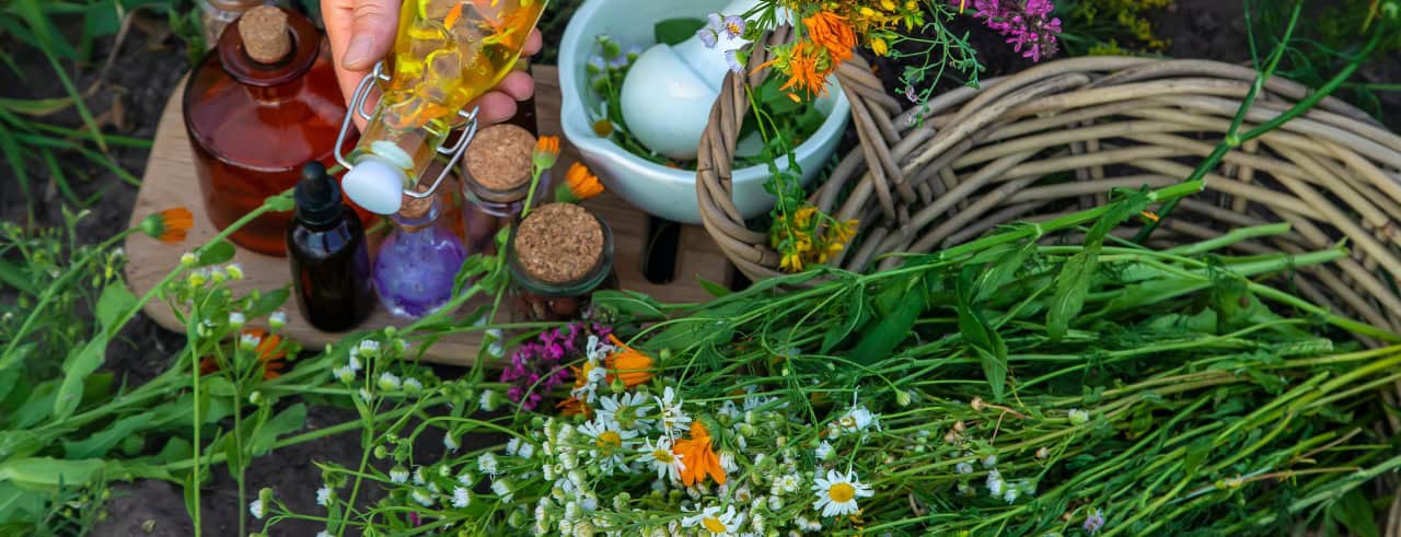 Nickel Allergies? Here's Why Nickel-Free Herbal Extracts Matter