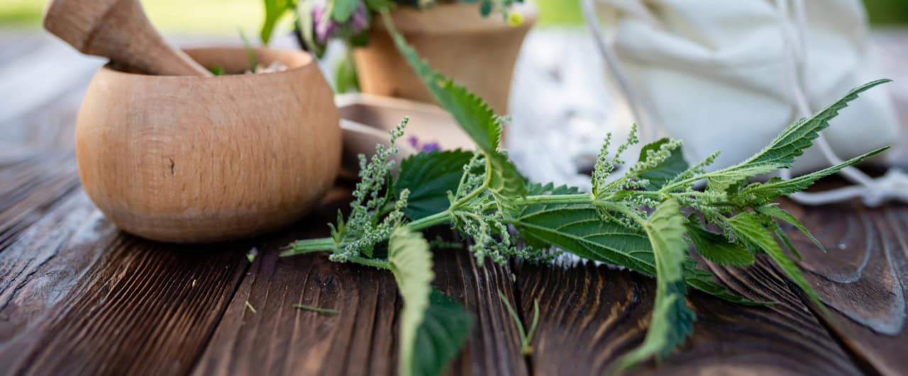 Innovations in Vertical Farming: Growing Herbs in Urban Landscapes