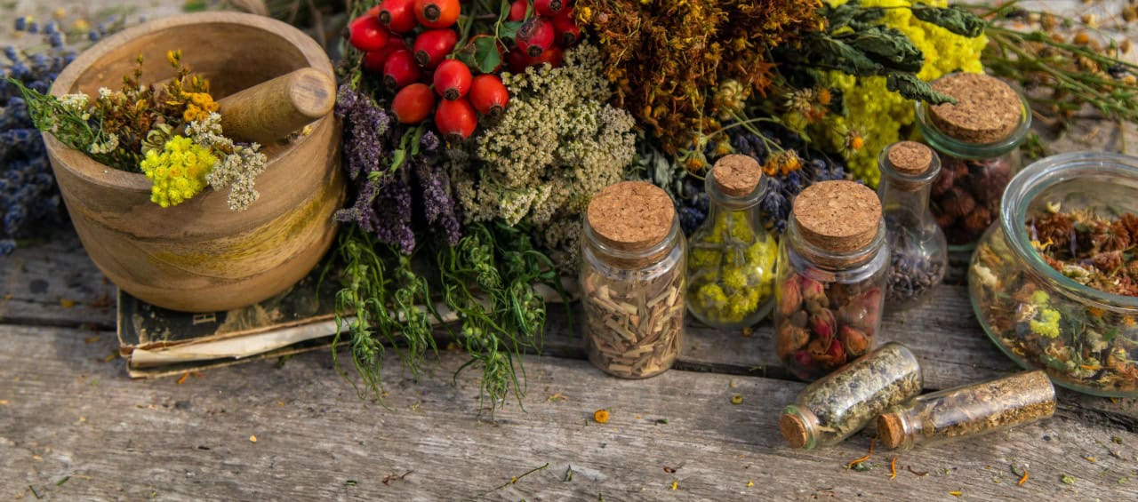 Hydroponic Systems: Growing Nickel-Free Herbs Efficiently