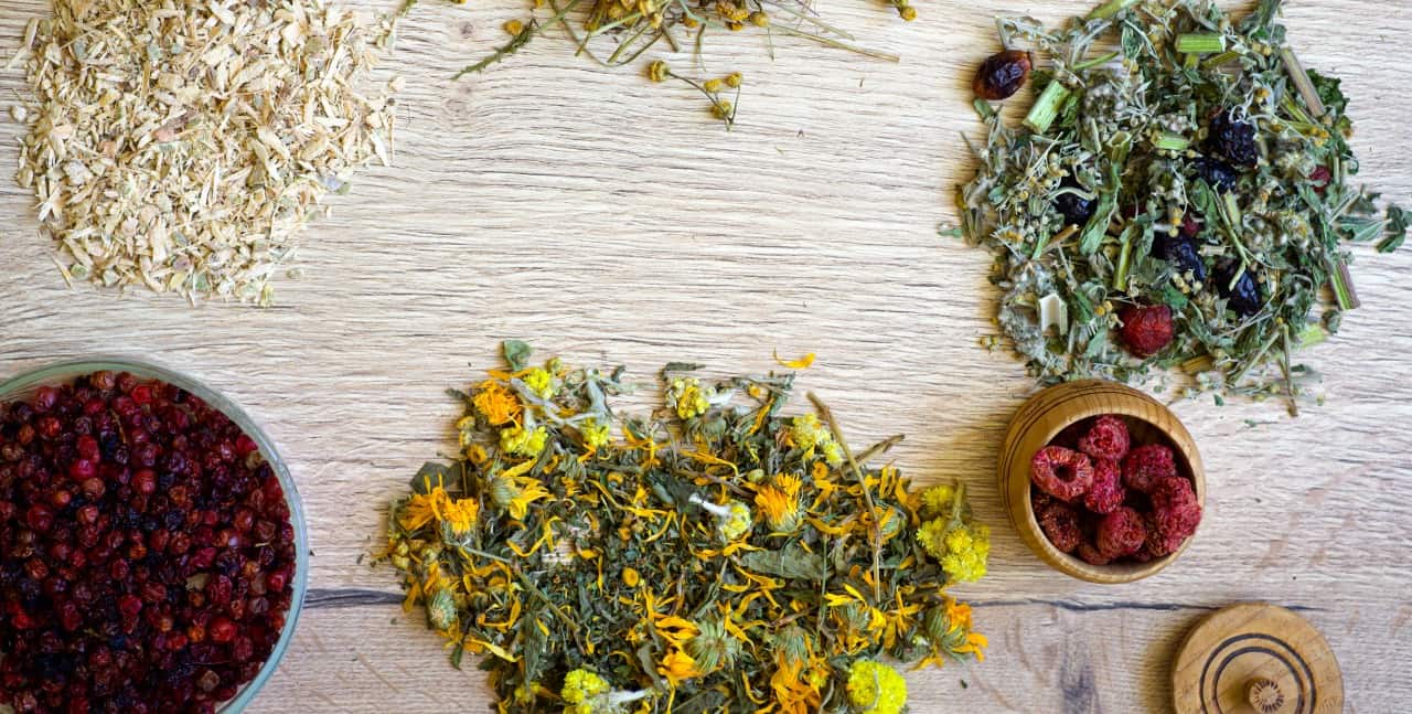 Sustainable Herb Farming: Practices That Protect Our Planet