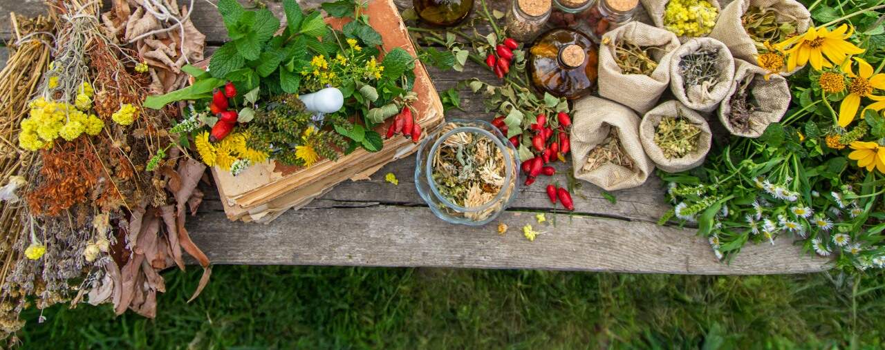 Understanding Residue-Free Certification in Herbal Products