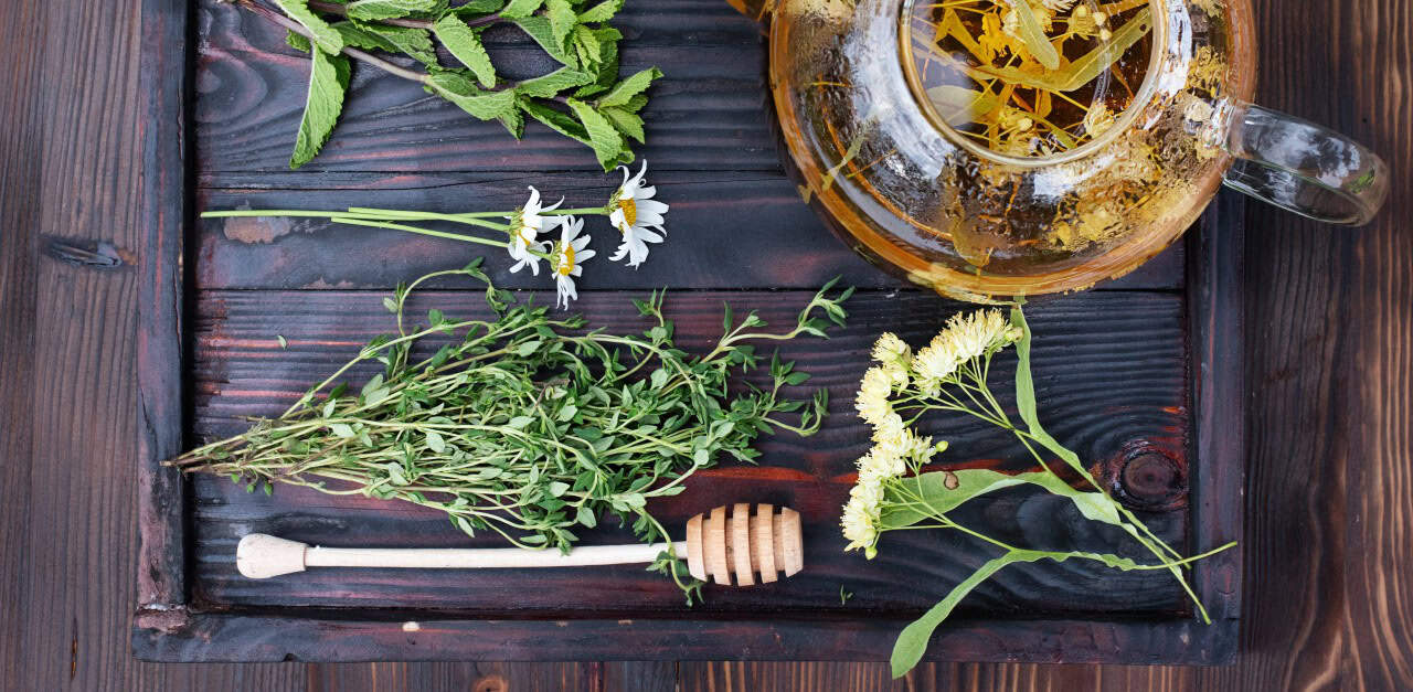 Nickel-Free Herbal Extracts: A Safer Choice for Sensitive Individuals