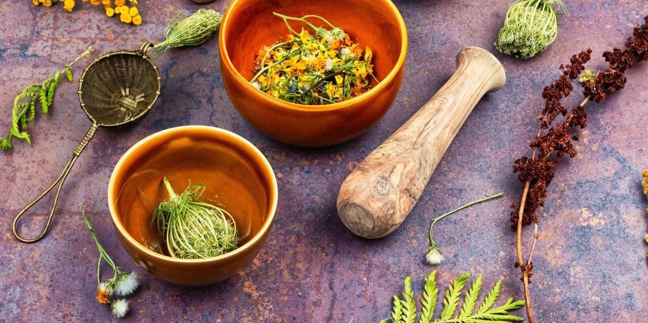 Residue-Free Farming: How Sustainable Practices Improve Herbal Quality