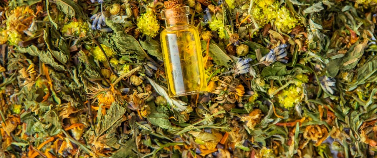 Why Zero Residue Herbal Extracts Are the Future of Clean Label Products