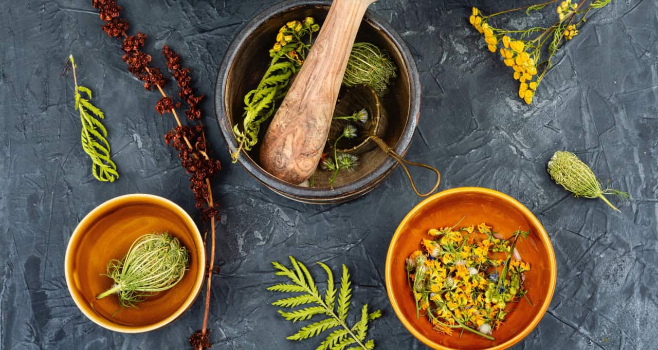 Vertical Farming vs. Traditional Farming: Which is Better for Herbal Extracts?