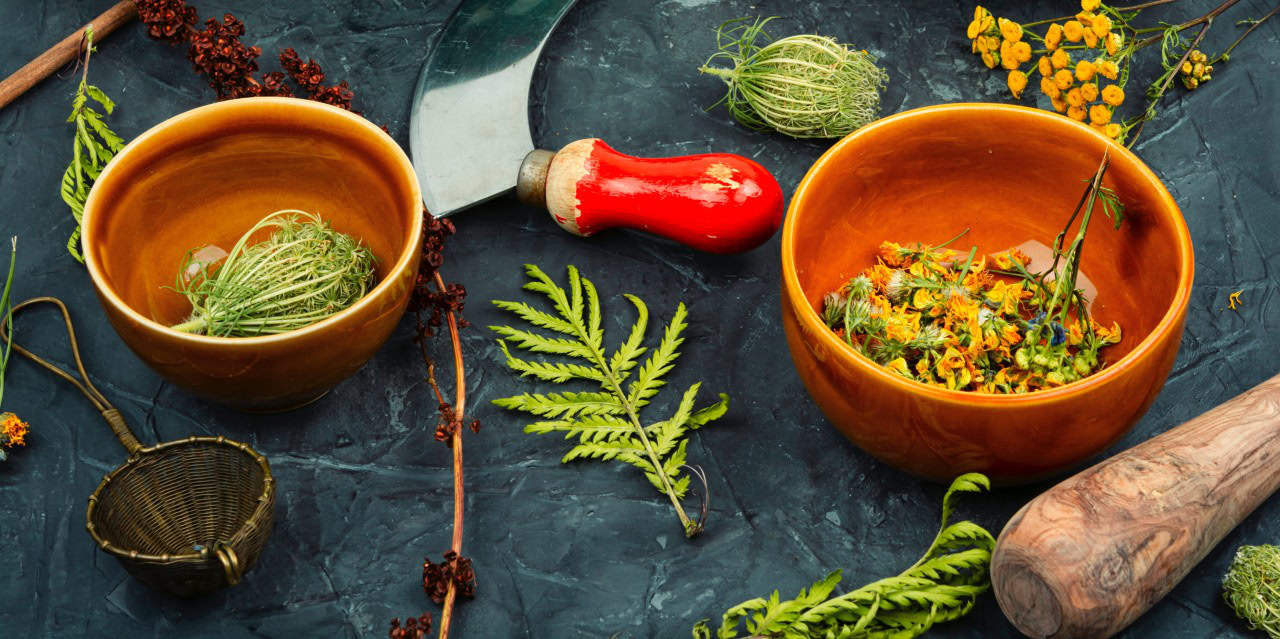 Sustainable Herbal Extracts: How Vertical Farming Reduces Environmental Impact
