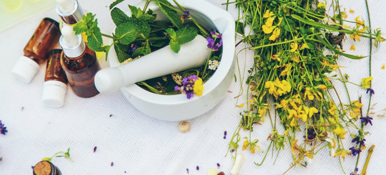 How Controlled Environment Agriculture Enhances Herbal Extract Quality