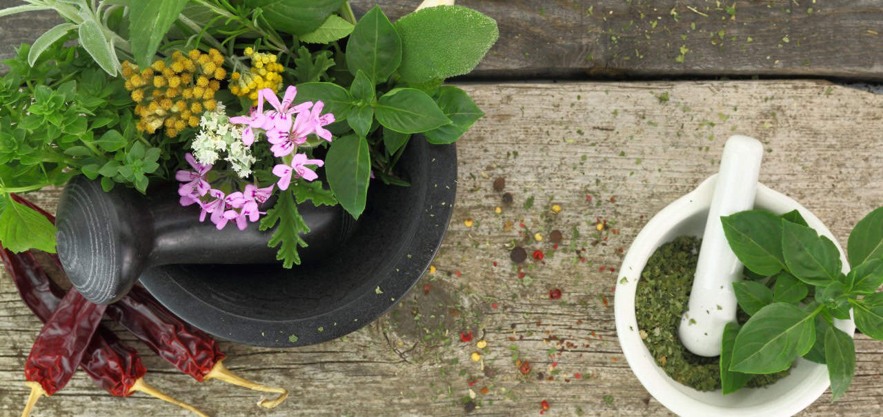 Pesticide-Free Farming: How It Benefits Herbal Extract Production