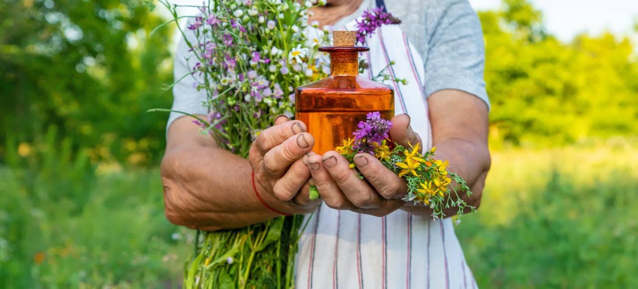 Solvent-Free Extraction: The Next Big Trend in Herbal Products