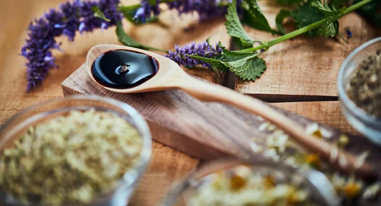 How Sustainable Herbal Extracts Support Environmental Conservation