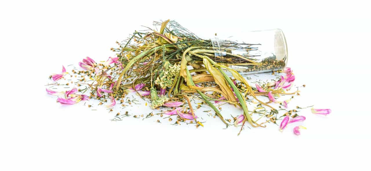 The Future of Herbal Extraction: Innovations in Sustainable Farming